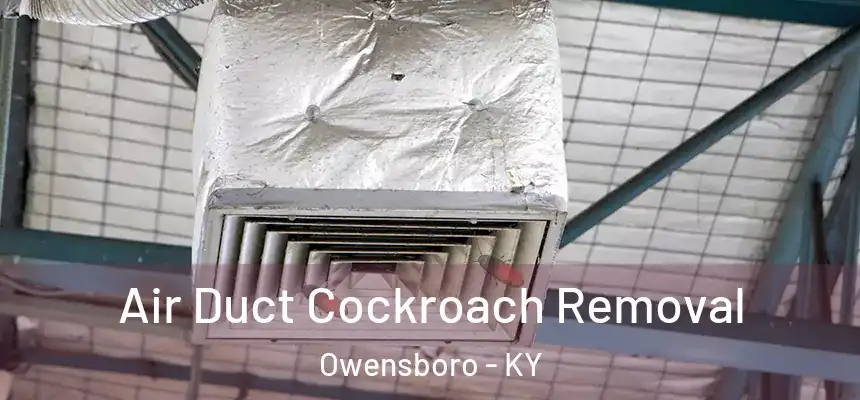 Air Duct Cockroach Removal Owensboro - KY