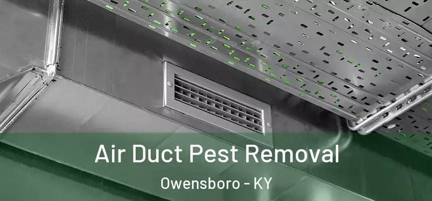  Air Duct Pest Removal Owensboro - KY