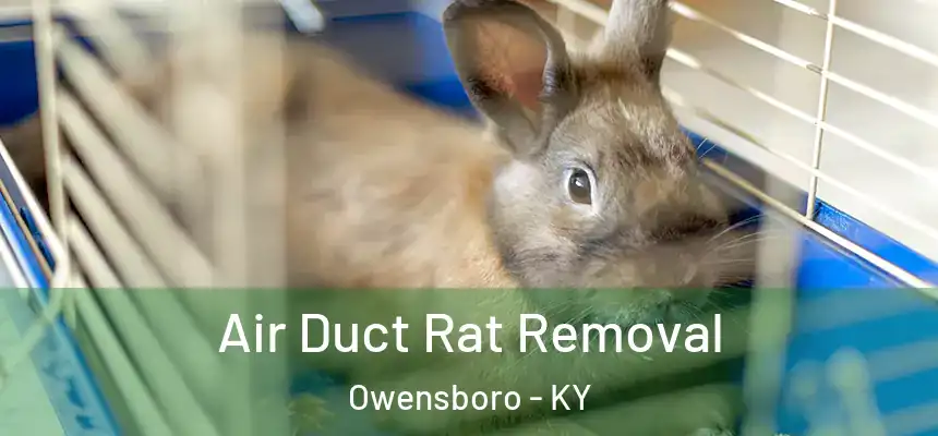  Air Duct Rat Removal Owensboro - KY
