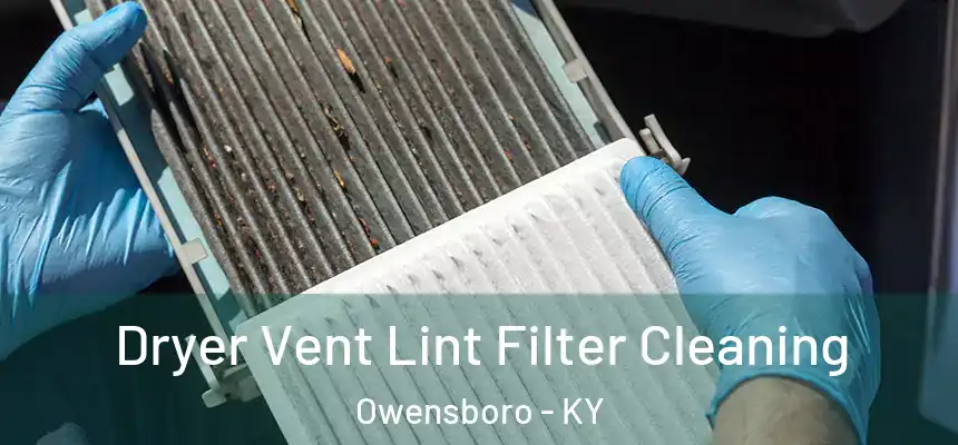  Dryer Vent Lint Filter Cleaning Owensboro - KY