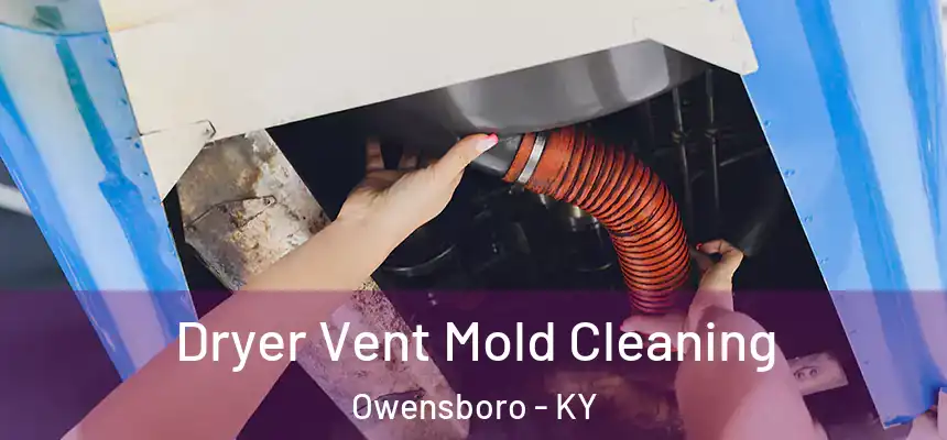  Dryer Vent Mold Cleaning Owensboro - KY