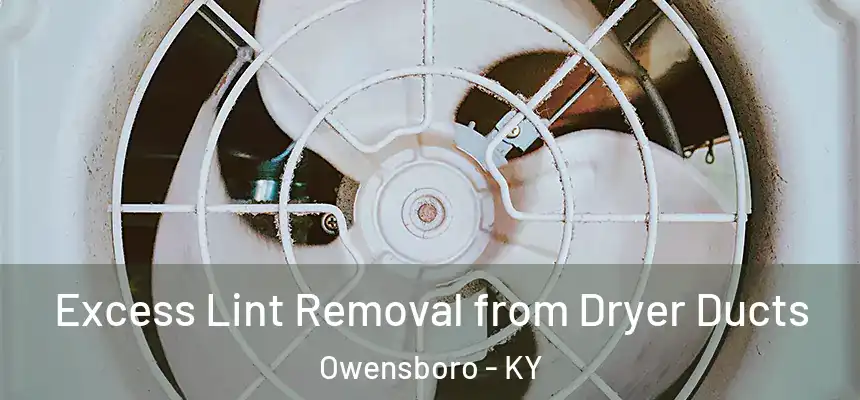  Excess Lint Removal from Dryer Ducts Owensboro - KY