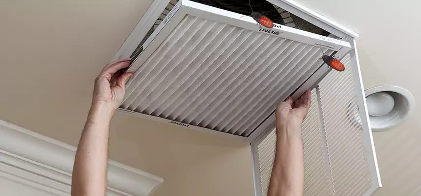 Preventive Cockroach-Proofing for Ducts in Owensboro