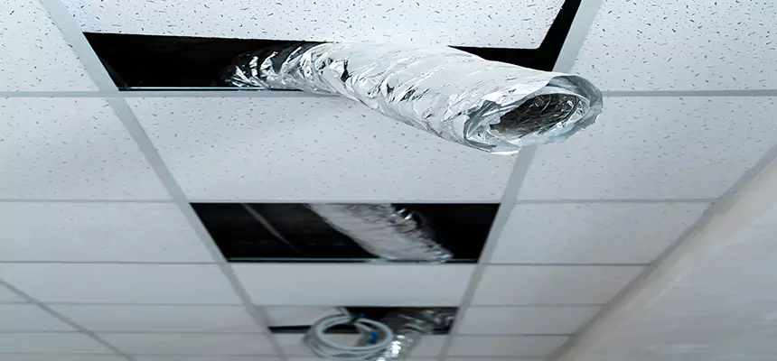 Our Air Duct Pet Hair Removal Services in Owensboro, KY