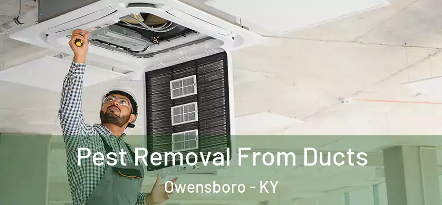  Pest Removal From Ducts Owensboro - KY