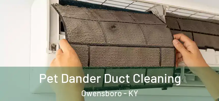 Pet Dander Duct Cleaning Owensboro - KY