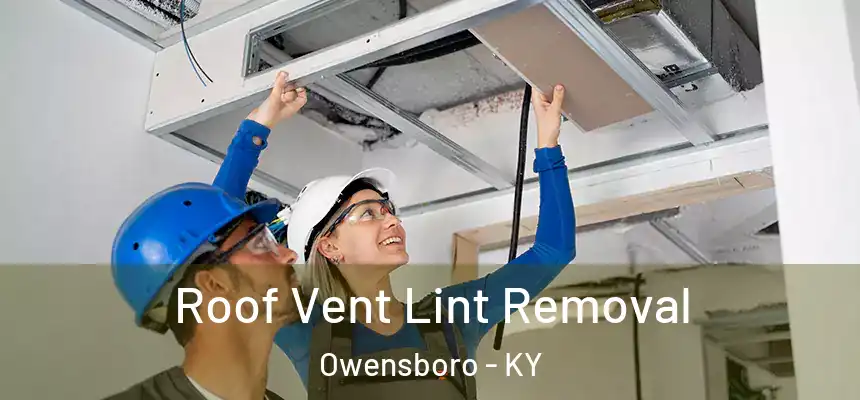 Roof Vent Lint Removal Owensboro - KY