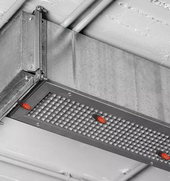 About Air Duct Cockroach Removal in Owensboro, KY