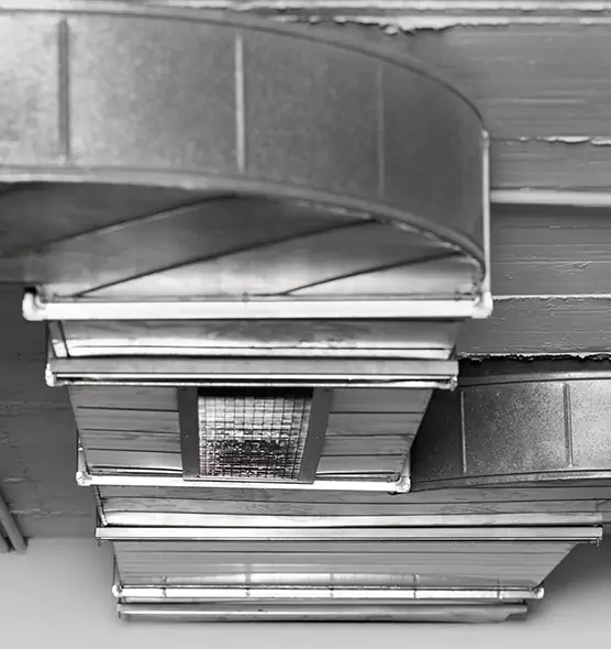 Professional Air Duct Pet Hair Removal in Owensboro, KY