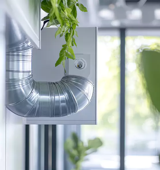 Professional Eco-Safe Dryer Vent Cleaning in Owensboro, KY