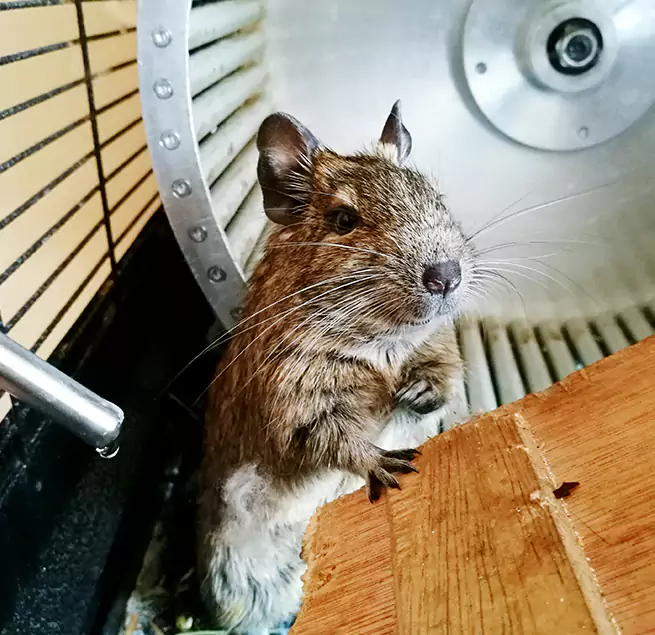 Why Homeowners & Businesses Trust Us Owensboro, KY